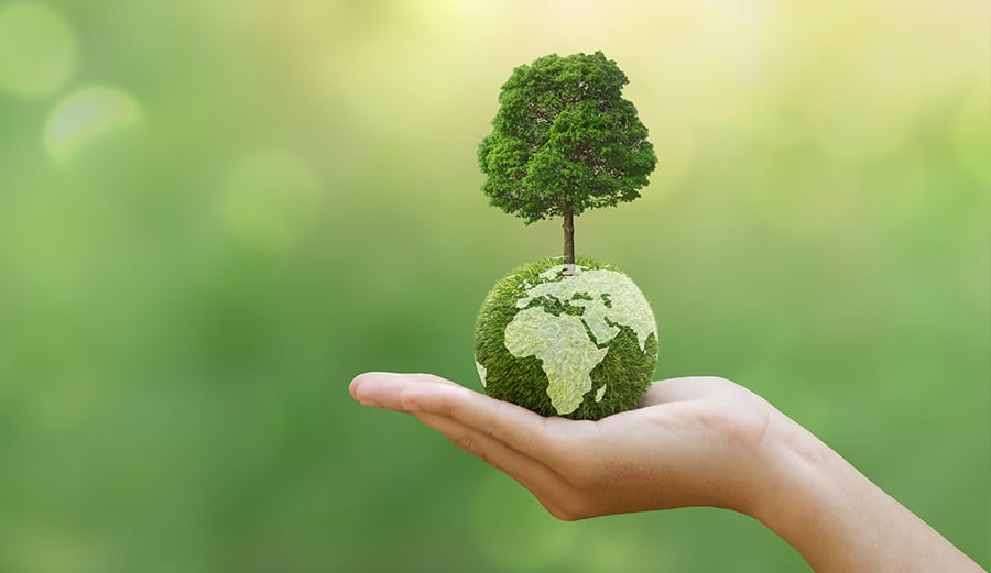 Towards ISO 14001-2015 Certification